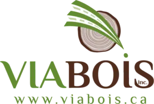 LOGO_ViaBois_Fond-transparent-300x203